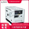 大泽动力15kw柴油发电机组户外施工