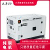 大泽动力12kw柴油发电机超市