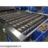 丽星即食粉丝生产线采用铺浆蒸熟工艺技术