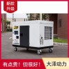 大泽动力TO28000ET发电机图片