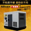 大泽动力20千瓦小型发电机通讯