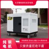 大泽动力25kw静音柴油发电机三相输出电压