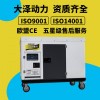 大泽动力TO22000ET发电机报价