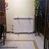 压铸铝双金属双水道散热器