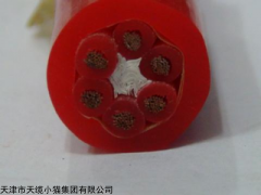 硅橡胶控制电缆KGGP