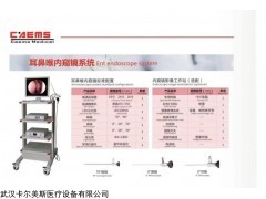 u-550 耳鼻喉內(nèi)窺鏡