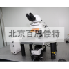 xt49861 正置荧光显微镜