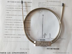TDX-01 甲醇分解制氢测定填充柱