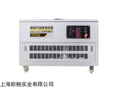 TOTO12 三相四线12kw静音汽油发电机移动使用