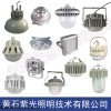 厂房固定照明灯,紫光GF9035LED泛光灯