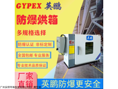 BYP-070GX-4D 天津防爆干燥箱