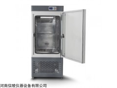MJX-250L智能霉菌培养箱