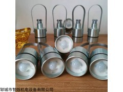 ZP-12.5G 矿用隔爆型光控开关热释红外传感器