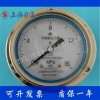 Y-63BFZ 不锈钢耐震压力表（上仪四厂）