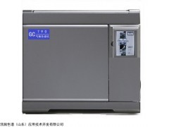 HH-GMA-II专用柱 甲基丙烯酸缩水甘油酯测定气相色谱仪