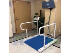SCS 老人双扶手透析轮椅电子秤
