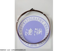 HH-Sulfur 硫化物分析专用钝化填充柱