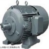 新品WINKELMANN電機