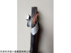 MHYA32 矿用阻燃通信电缆