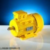 新品FAURNDAU电机