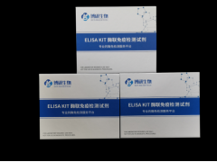 48T/96T 小鼠白细胞介素1β（IL-1β）ELISA试剂盒