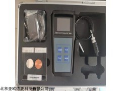 DP30404 数字式涡流导电仪