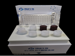 48T/96T 人CD258分子（CD258）ELISA试剂盒