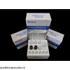48T/96T 大鼠骨成型蛋白9（BMP-9）ELISA试剂盒