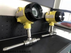 HG 禾谷涡轮流量计