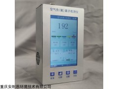 AN-600型手持式负（氧）离子检测仪