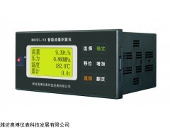 MC51-Y2 Y2智能流量積算儀氣體蒸汽液體天然氣