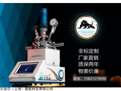 BZ-200ML/SO-L 小型高壓反應(yīng)釜