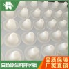 0.8公分-5公分 盐城支点型塑料排水板）凸片车库复合异形片