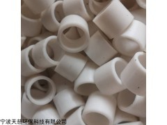 DN25 四氟拉西環(huán)
