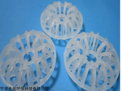 DN51 聚丙烯科斯特填料