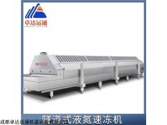 ZDYT-YDS-0.8/6 速凍魚片隧道式液氮速凍機(jī)