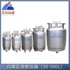 YDZ-200 自增壓液氮容器/不銹鋼液氮罐廠家