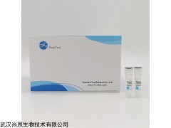 SNL-002 Vero非洲绿猴肾细胞实验级供应