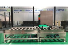 DT 200公斤定值报警动力滚筒秤