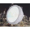 BLD203 湖北平台灯防爆型支架式BLD203