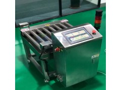 DT 300公斤在线滚筒称重机