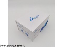 贴壁 PANC1人胰腺癌细胞厂商供应