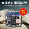 移动型300A发电电焊机