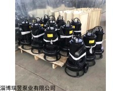 CSQ  潛水泥沙泵