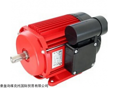 齿轮泵10002-142   IPZ1-HR2 德国JUNG泵sun