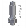 VS 100-AISI 316意大利进口PA安全阀