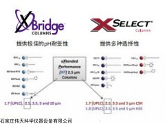 [XP] 2.5 μm色譜柱