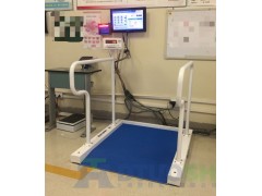 SCS 医用300公斤透析轮椅称