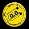 全新GIOVENZANA开关
