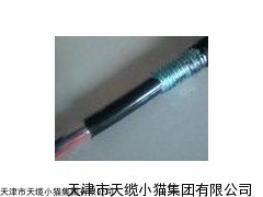 SYV-75-5  MHYV2*2*7/0.34mm2矿用通信电缆价格